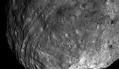 Surface of a comet with craters