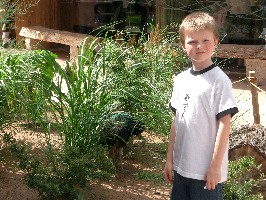 Sebastian with a peacock