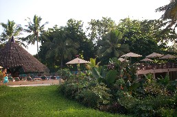 View from the Veranda