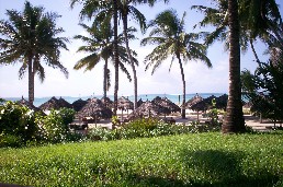 View from the Veranda