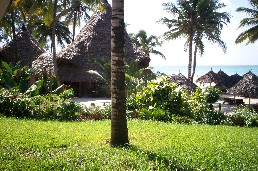 View from the Veranda